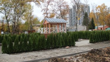 Фото: Зеленый лабиринт из 500 туй появился в парке Культуры и отдыха