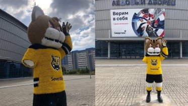 Фото: Череповецкого Севу снова травмировал пьяный мужчина