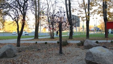 Фото: Череповчане заложили в городе Сад дружбы