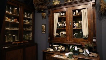 Фото: Обновленный музей аптечного дела открылся в Череповце