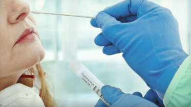 Фото: В Череповце выявлены поддельные ПЦР-тесты на коронавирус