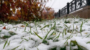 Фото: Череповчан на следующей неделе может засыпать первым снегом