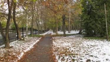 Фото: В Череповце выпал первый снег: какую погоду обещают синоптики?