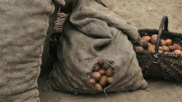 Фото: За кражу картофеля череповчанин отправится за решетку