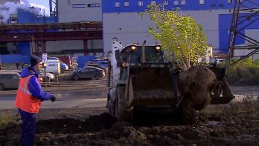 Фото: Свыше 100 тополей высадили на территории коксоаглодоменного производства