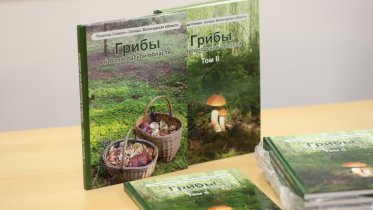 Фото: Как собрать больше грибов: череповецкие грибоведы рассказали о методике их поиска по снимкам из космоса