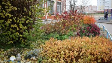 Фото: Четвероклассники школы № 39 стали победителями городского конкурса клумб