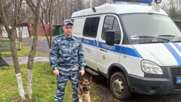 Фото: Пропавшего в Череповце ребенка нашла собака