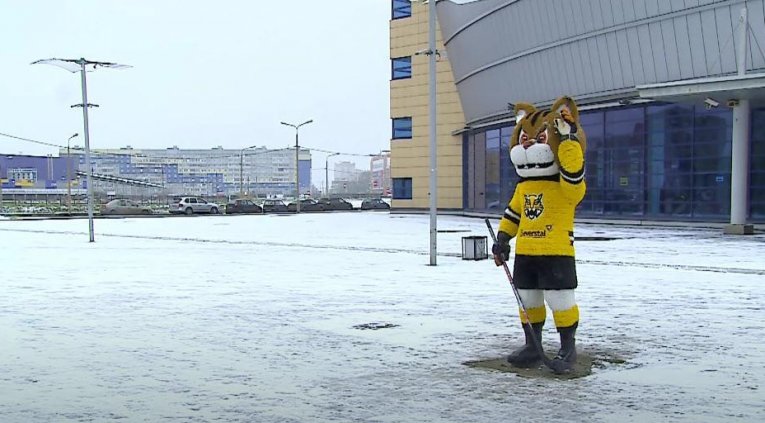 Фото: Рысенка Севу снова вернули к Ледовому дворцу