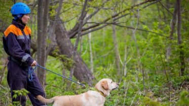 Фото: Найден пенсионер из Череповца, пропавший по пути в Вологду