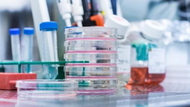 Фото: Тесты на коронавирус вместо спирта похитил череповчанин из поликлиники