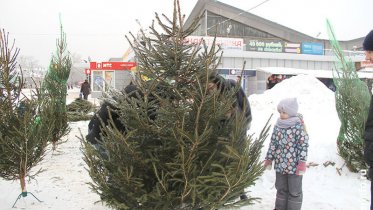 Фото: Шесть мест для елочных базаров оборудуют в Череповце