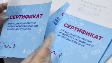 Фото: Череповчанка попалась на использовании поддельного сертификата о вакцинации