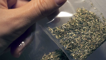 Фото: В череповецком магазине школьнице предложили спайсы