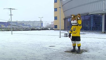 Фото: Рысенка Севу снова вернули к Ледовому дворцу