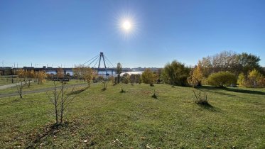 Фото: О новых названиях улиц и общественных пространств Череповца рассказал градоначальник