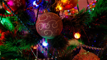 Фото: Шатер из 126 гирлянд засияет на елке в Зашекснинском районе