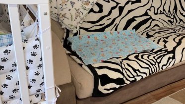 Фото: Череповчанка пойдет под суд за падение сына с дивана