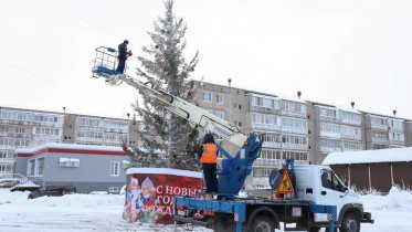 Фото: Живую ель установили на Ленинградской в Череповце