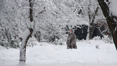 Фото: Череповец снова готовится к снегопадам