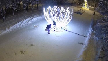 Фото: Подростка, сломавшего светодиодную лилию, нашли в Череповце