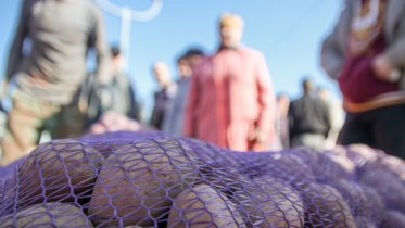 Фото: Завершающая сельхозярмарка пройдет в Череповце