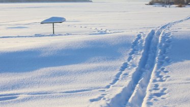 Фото: Выход на лед Шексны открыт в Череповце