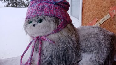 Фото: Череповецкую деревню нарядили огромными игрушками