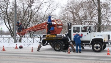 Фото: Деревья на Сталеваров оформят подсветкой