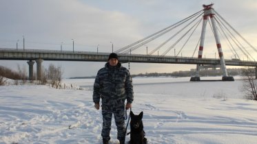 Фото: В Череповце служебная собака помогла найти вора и украденный телефон