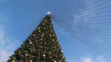 Фото: Гирлянда, размером 3 километра, украсит ель в Зашекснинском районе