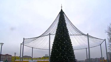 Фото: Ель с шатром засветилась в Череповце