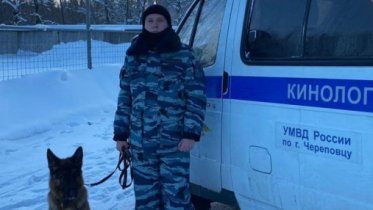 Фото: В Череповце собака разыскала пропавшего мужчину
