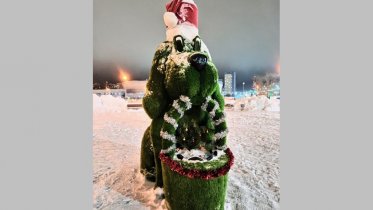 Фото: Травяной Тобик преобразился в новогодние праздники