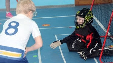 Фото: Флорбол придет еще в 10 детских садов Череповца