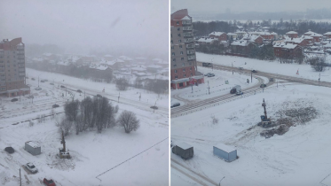 Фото: Жители Зашекснинского района возмущены фактом вырубленных деревьев