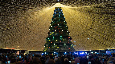 Фото: Стало известно, в какую сумму обошлась Череповцу елка с шатром