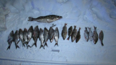 Фото: Браконьера задержали в Череповецком районе сотрудники ППС