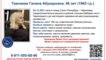 Фото: В Череповце женщина вышла из поезда и пропала