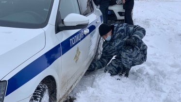 Фото: Полицейские и общественники рассказали студентам о работе строевых подразделений