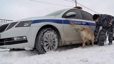 Фото: В Череповце отмечается снижение количества убийств