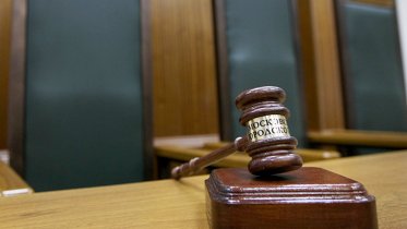 Фото: Житель Череповецкого района ответит за убийство собаки
