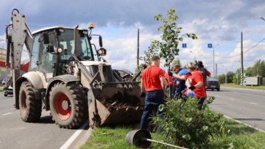 Фото: Мэр Череповца просит помощи в озеленении города