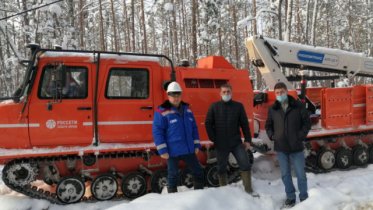 Фото: Энергетики вырубили свыше одной тысячи деревьев в Череповецком районе