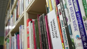 Фото: Детскую библиотеку № 13 в Череповце ждут преобразования