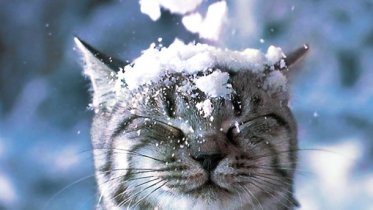 Фото: Синоптики рассказали, какой будет погода в ближайшую неделю в Череповце