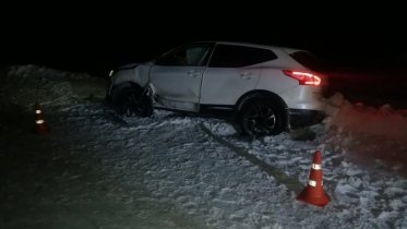 Фото: Устроив ДТП, череповчанин решил сбежать в лес