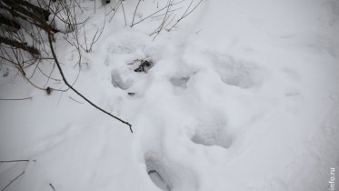 Фото: Агрессивные люди пугают жителей дачных причалов