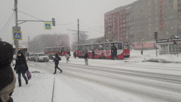 Фото: В Череповце кратковременно встали трамваи