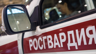 Фото: Череповчанина, находящегося в розыске, задержали на краже алкоголя